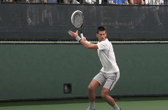 Novak Djokovic Fortuna
