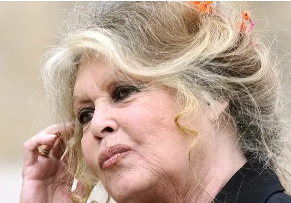 Brigitte Bardot Morreu 4 A questão mais ampla das farsas de morte de celebridades